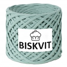 Трикотажная пряжа Biskvit Мятное суфле