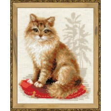 1525 Кошка домашняя